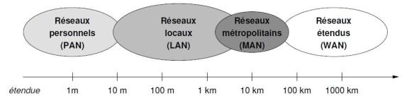 Classification des réseaux